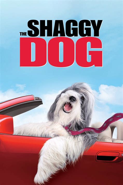 The Shaggy Dog - Rotten Tomatoes