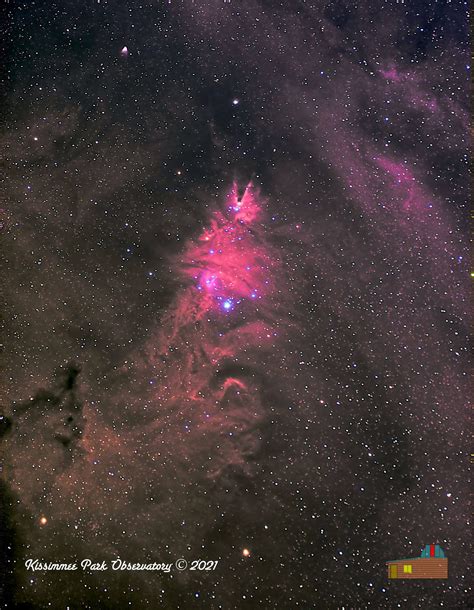 Digital Image – The Christmas Tree Cluster – Kissimmee Park Observatory