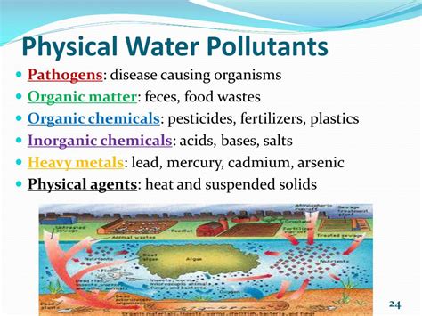 Water Pollutants List