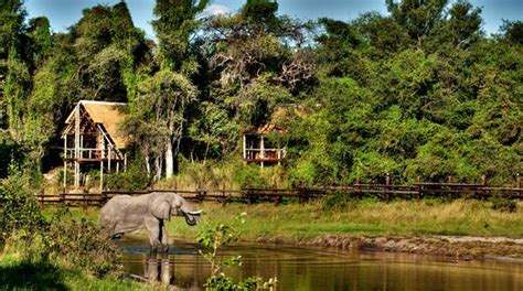 Wildlife and Wilderness in Botswana – Real Africa Blog