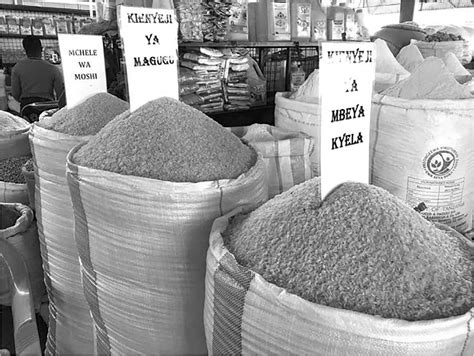 Rice Market in Tanzania - Value Chain, Prices & More - UnitedRepublicofTanzania.com