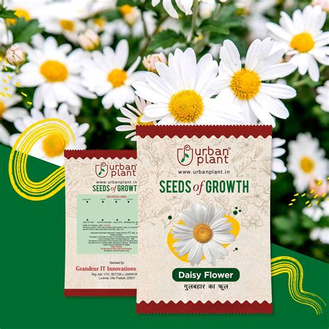 Buy Daisy Flower Seeds - Urban Plant