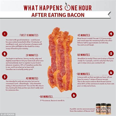 What happens to your body after eating bacon revealed in parody infographic | Daily Mail Online