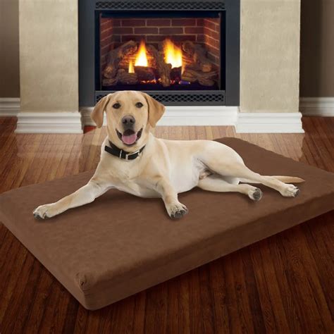 Large Memory & Foam Dog Bed With Removable Cover 46" X 27"-in Houses ...