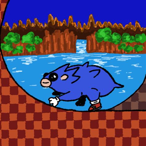 sonic run by EinoRuzgas on Newgrounds