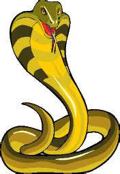 anaconda clipart gif 10 free Cliparts | Download images on Clipground 2024