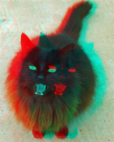 Cat in anaglyph 3D red blue glasses to view | Steve Woodmore | Flickr