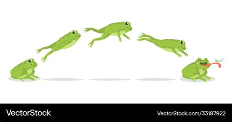 Frog jump various jumping animation sequence Vector Image