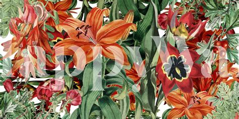 Buy Floral Orange and White Wallpaper | Happywall