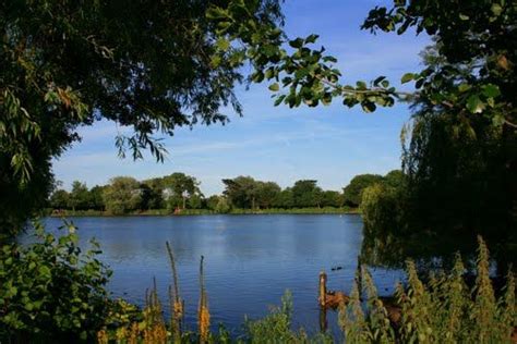 a lake surrounded by lots of trees and bushes in the foreground with blue sky