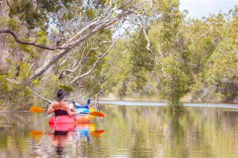 Your Complete Guide to Kayak Camping in the Upper Noosa River - Intego Travel