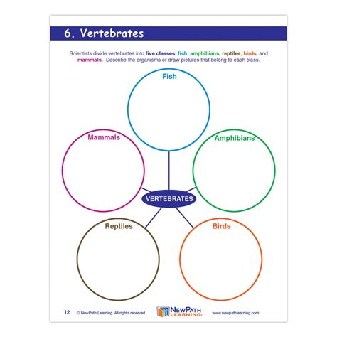 Grade 4 Science Graphic Organizers - Set of 10 - EAI Clearance Outlet | EAI Education