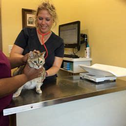 The Cat Vet Clinic - Updated COVID-19 Hours & Services - 11 Photos & 58 ...