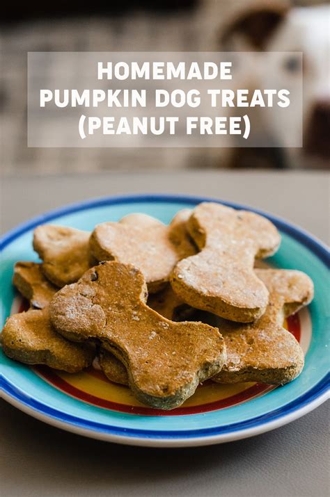 Homemade Pumpkin Dog Treats (Without Peanut Butter) - Fresh April Flours