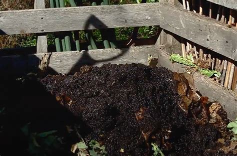 How to Use Coffee Grounds in Compost | Video | joe gardener®