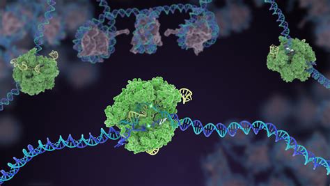 Gene Editing – Digital Media Kit | National Institutes of Health (NIH)