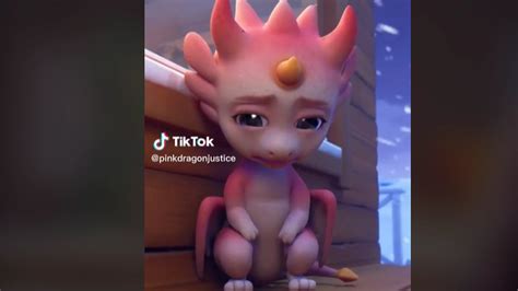 TikTok: Pink Dragon - Explained