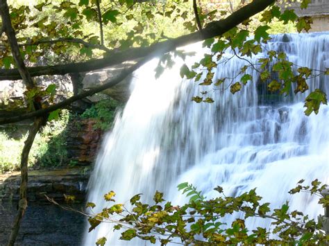 Waterfall Through Trees 2 Free Stock Photo - Public Domain Pictures