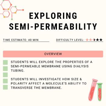 Cell Membrane Permeability Lab Experiment by The STEM Sisters | TPT