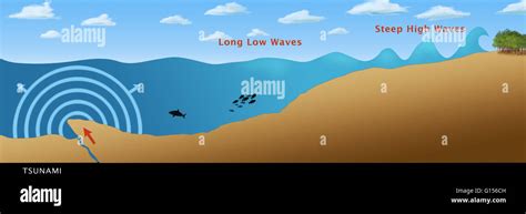 Illustration of a tsunami formed from an earthquake (crack in the ocean floor), showing the ...