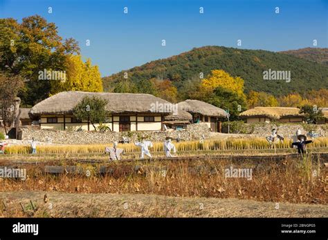 Korean traditional thatched house. Traditional farm village in Asan ...