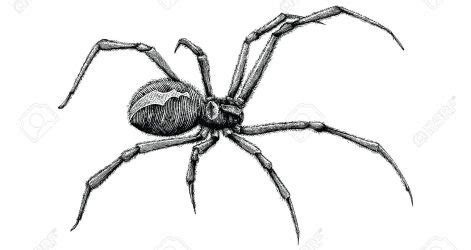 Spider Drawing Easy | Free download on ClipArtMag