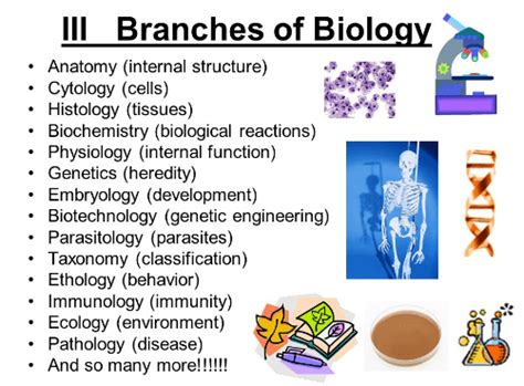 “Perfect list” of 25 main branches of biology with definitions and ...