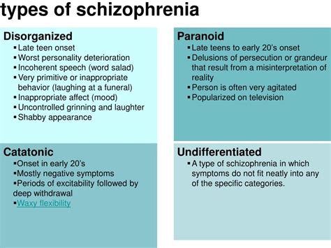 Paranoid schizophrenia examples - retimatter