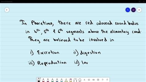 In Pheretima, there are red coloured round bodies in 4th, 5^th and 6^th segments above the ...