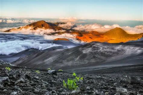 Napili-Honokowai, Maui