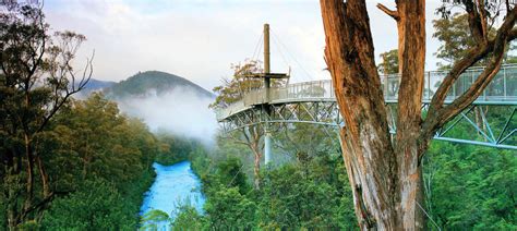 Tahune AirWalk Tickets | Tasmania - KKday