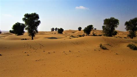 Dubai Desert Conservation Reserve - Exploring the Desert Landscape ...