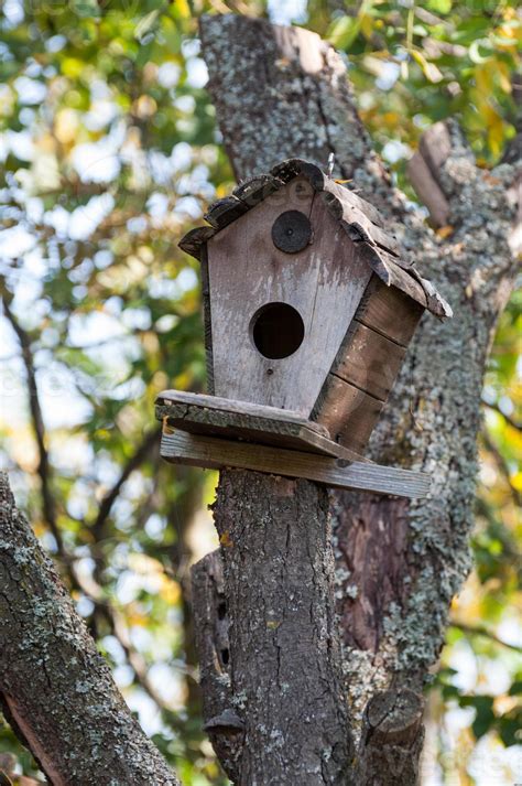 Bird house hanging on a tree 1337017 Stock Photo at Vecteezy