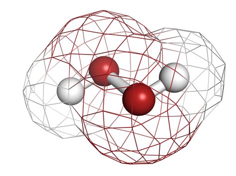 Reactive Oxygen Species: Harbingers of Evolution or Signals of Design ...