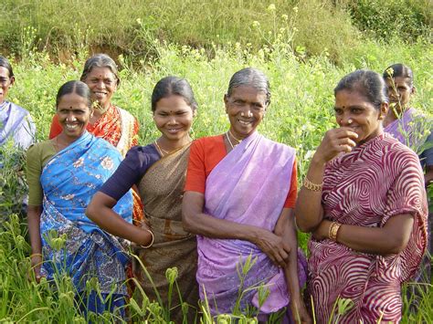 Members of a Indian women’s group in a field of Finger Mil… | Flickr