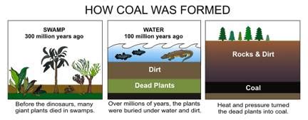 Formation of coal, oil and gas ~ Learning Geology