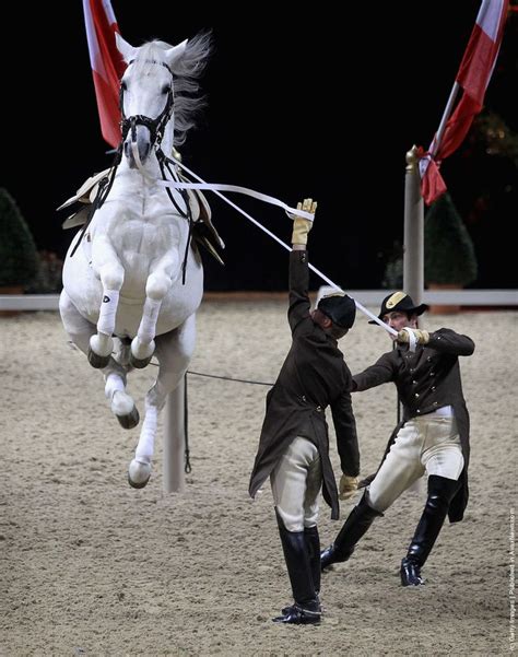 spanish riding school performances | Spanish Riding School Of Vienna ...