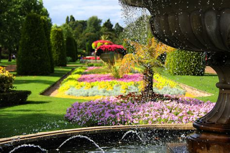 21 photos of flowers blooming all over London