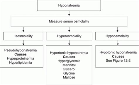 General Principles Of Disorders Of Water Balance Hypo - vrogue.co