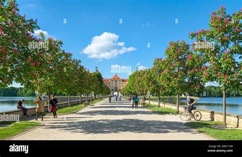 Germany, Saxony, Moritzburg, Moritzburg Castle, Kastanienallee, Moritzburg pond area Stock Photo ...