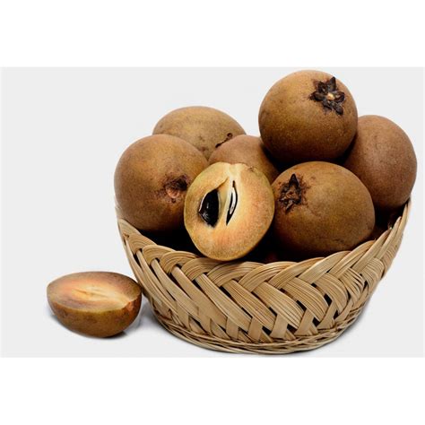 (Fresh) Indian Chikoo Fruit (per pc)