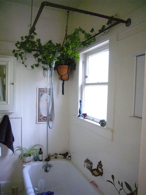 ivy in bathroom | Jo Guldi | Flickr