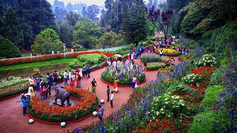 Best Places to Visit in Ooty