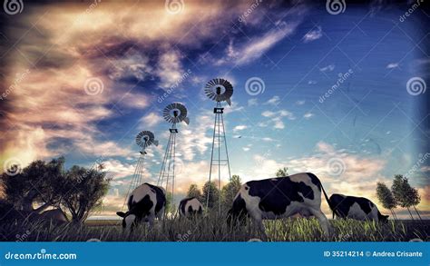 Grazing cows stock illustration. Illustration of meadow - 35214214