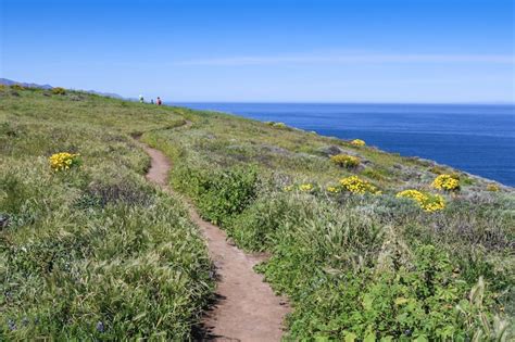 Hiking in Channel Islands National Park: Trails, Tips, & More