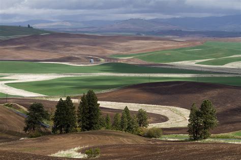 Palouse Hills | aliajj | Flickr