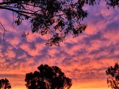 Mammatus Clouds at Sunset | Sydney Australia | Photography