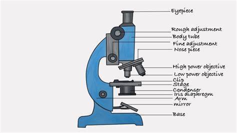 how to draw microscope | step by step microscope drawing - YouTube