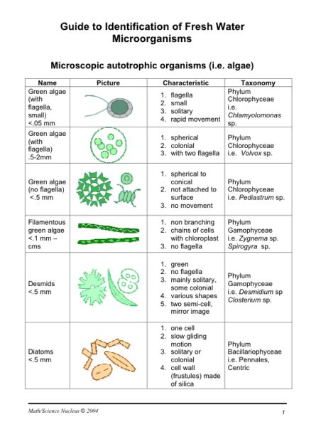 Applied Math and Science Education Repository - Guide to Identification ...