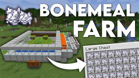 Minecraft: Easy BONEMEAL FARM 1.19 automatic AFK - Tutorial - YouTube